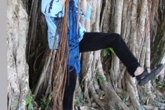 Botanischer Garten von  Cienfuegos